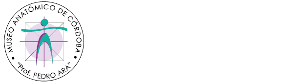 Museo Anatómico Pedro Ara